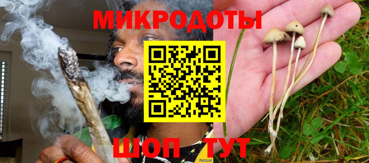 Галлюциногенные грибы MAGIC MUSHROOMS Дедовск
